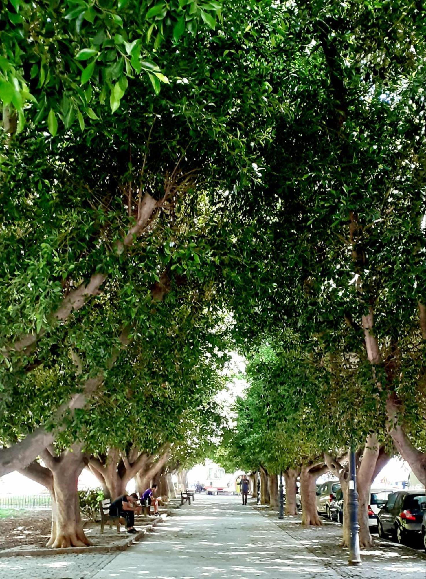 Yard Patraix By Concept Flats Otel Valensiya Dış mekan fotoğraf
